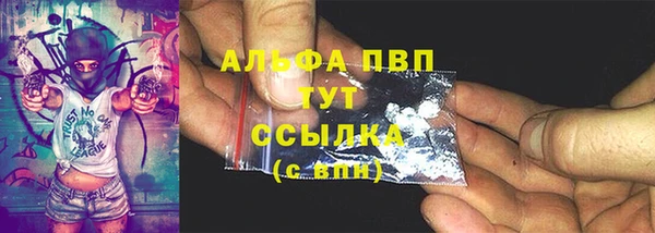 apvp Алзамай