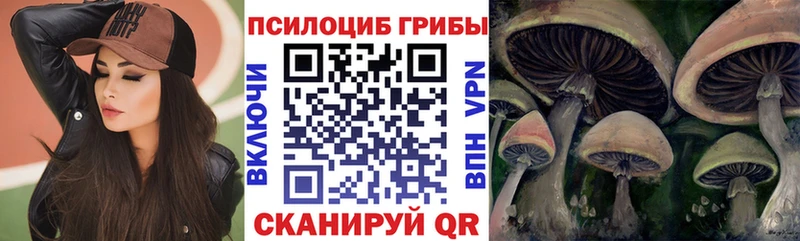 где купить   Струнино  Псилоцибиновые грибы Psilocybine cubensis 