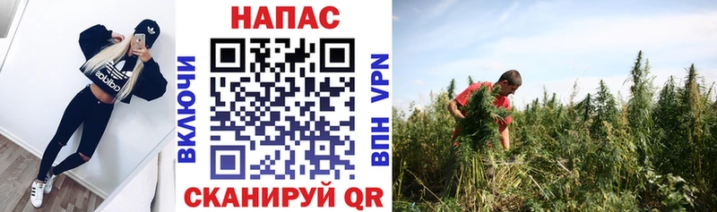 Конопля тримм  МЕГА вход  Струнино  дарнет шоп 